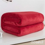 Doux et confortable Couverture de couleur pure Coral Fleece Blanket Couverture de flanelle de cadeau de yoga de cadeau de velours de Fa Plusieurs couleurs et styles disponibles - B07VJM8V9W